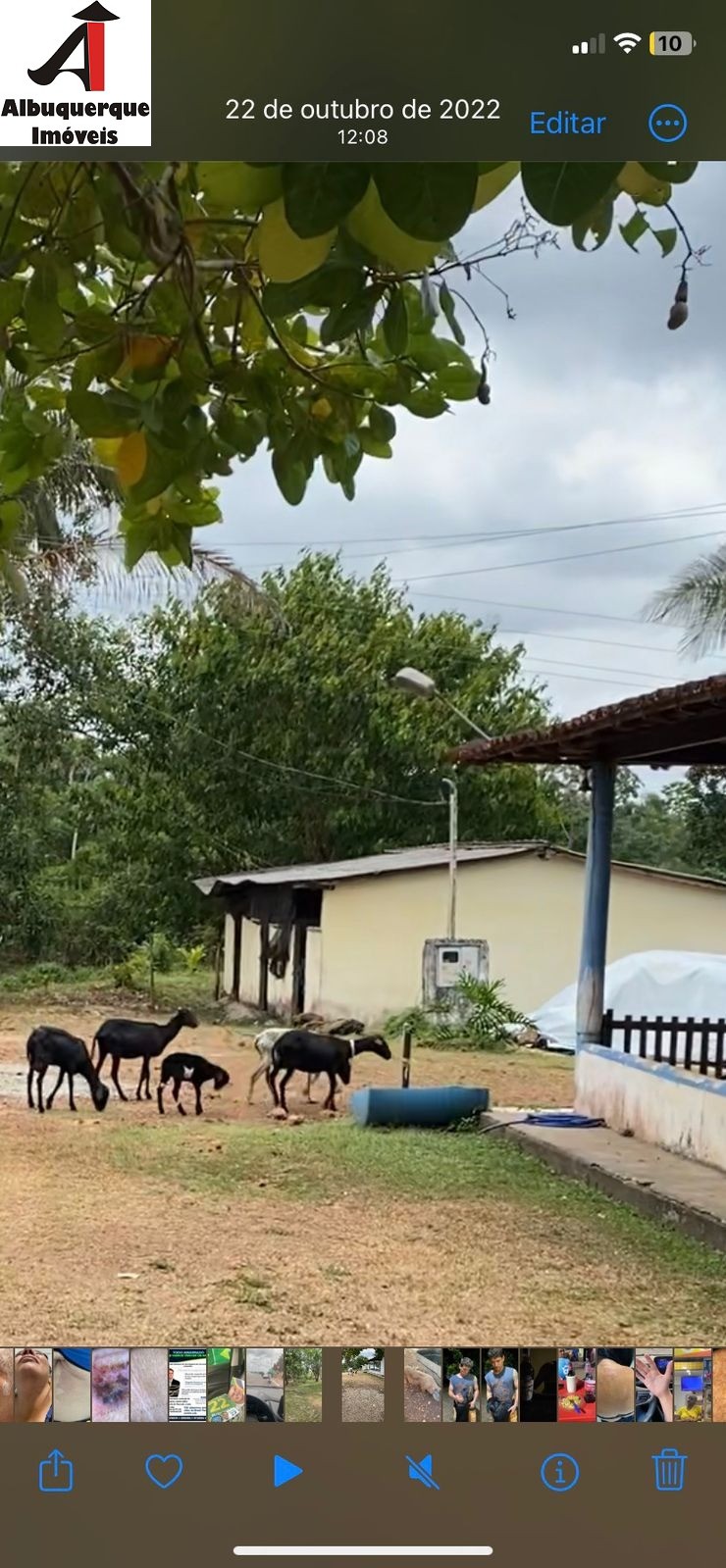 Fazenda à venda, 60m² - Foto 6