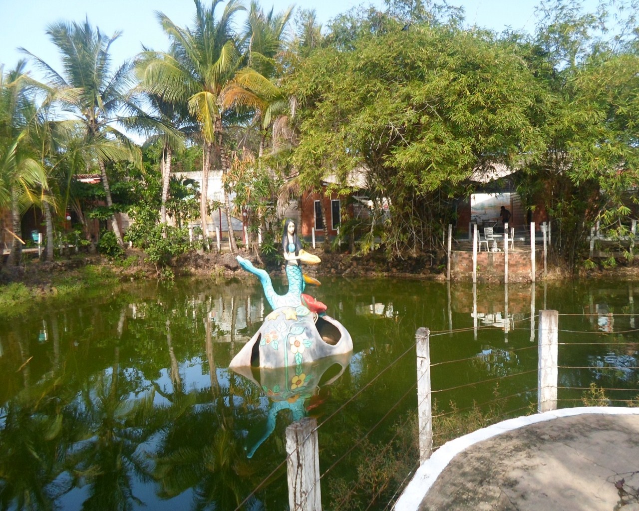 Sítio, 10 quartos, 2 hectares - Foto 8