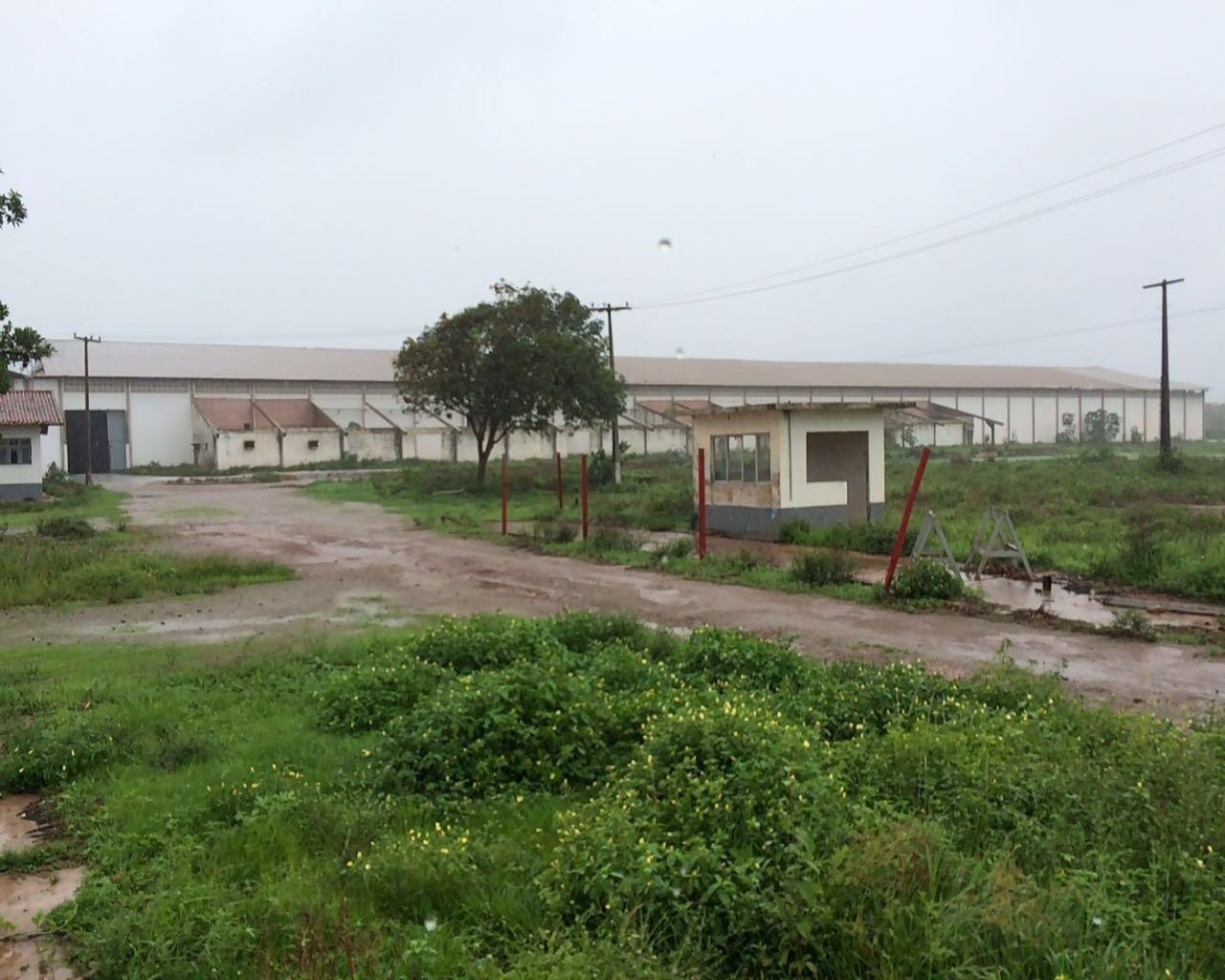 Depósito-Galpão-Armazém para alugar - Foto 3