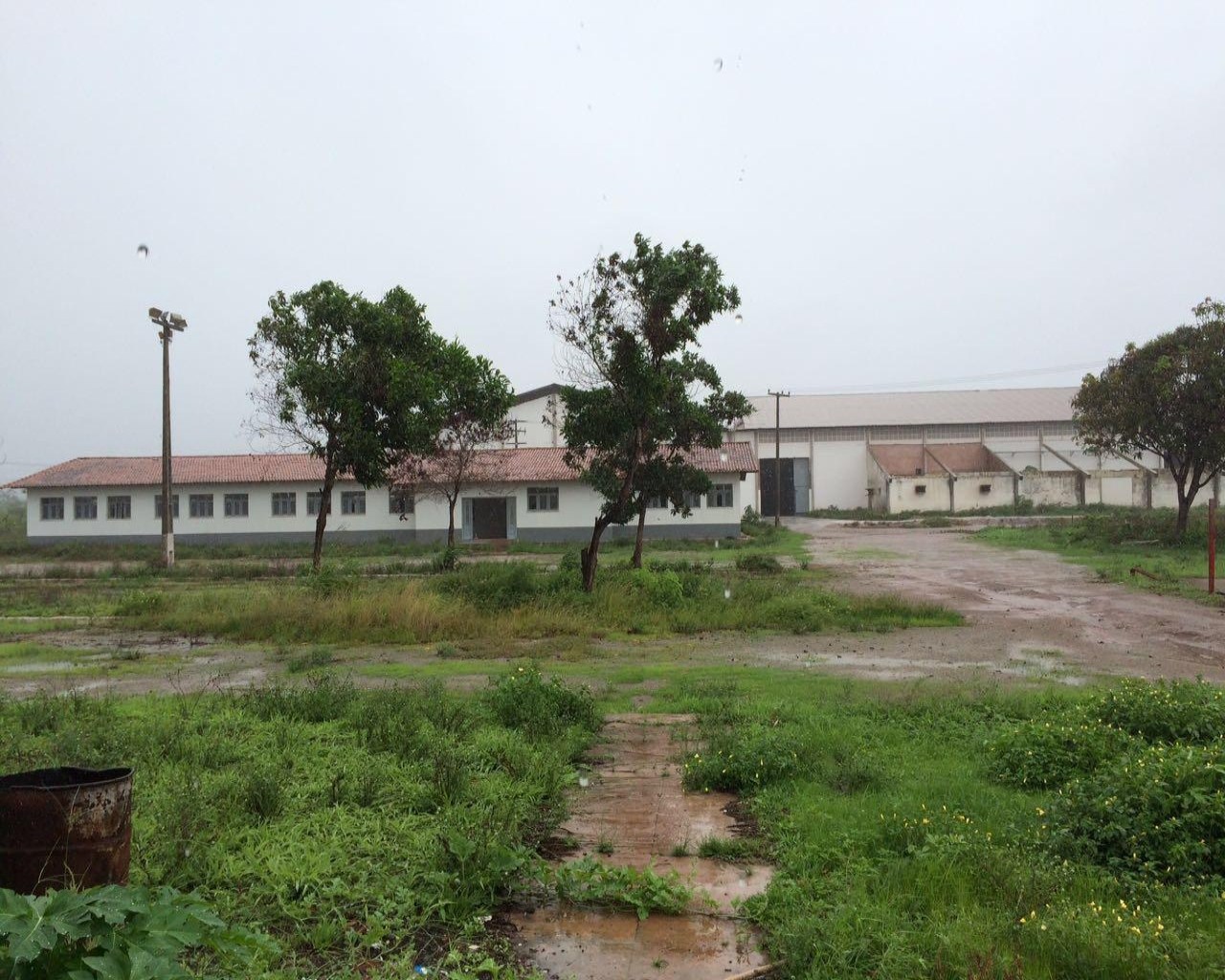 Depósito-Galpão-Armazém para alugar - Foto 5