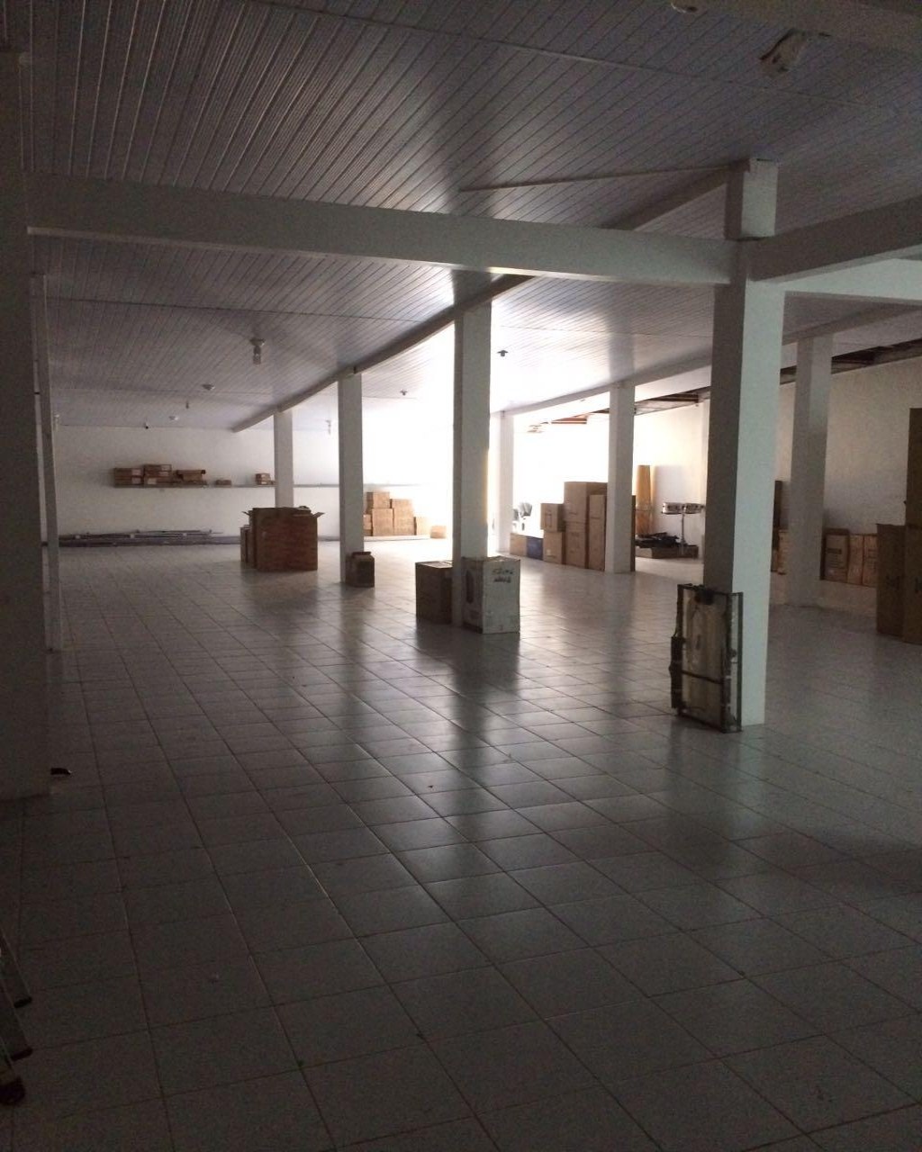 Imóvel Comercial Padrão à venda - Foto 16