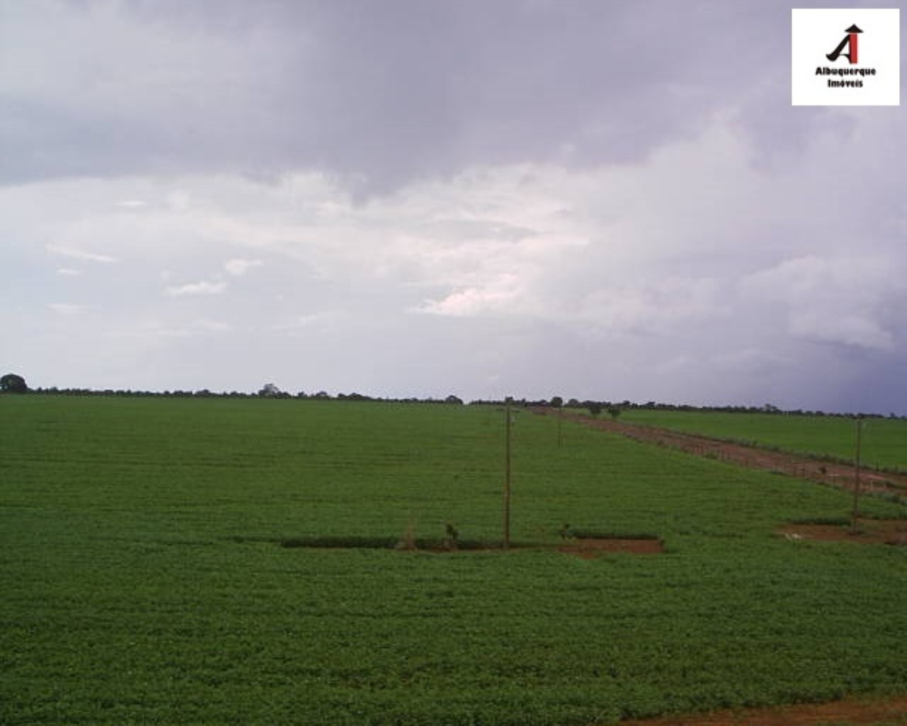 Fazenda-Sítio-Chácara, 6 hectares - Foto 4