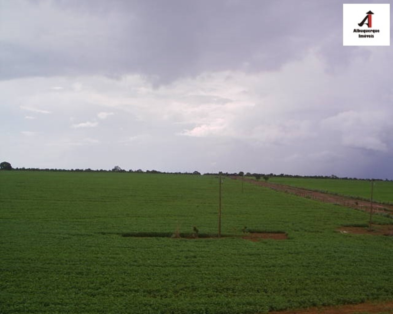 Fazenda à venda, 60000m² - Foto 4