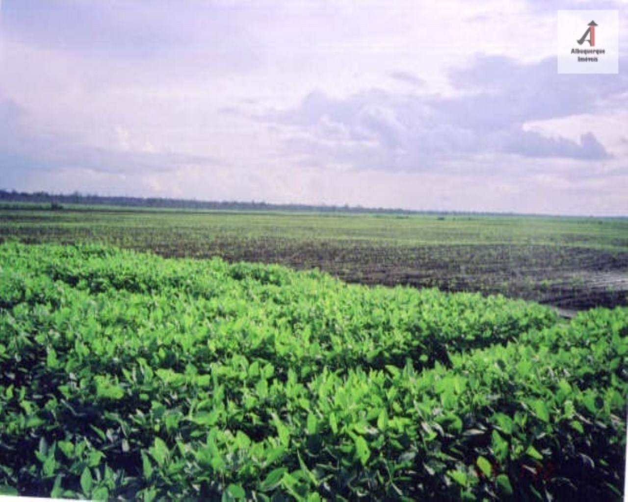 Fazenda à venda, 60000m² - Foto 7