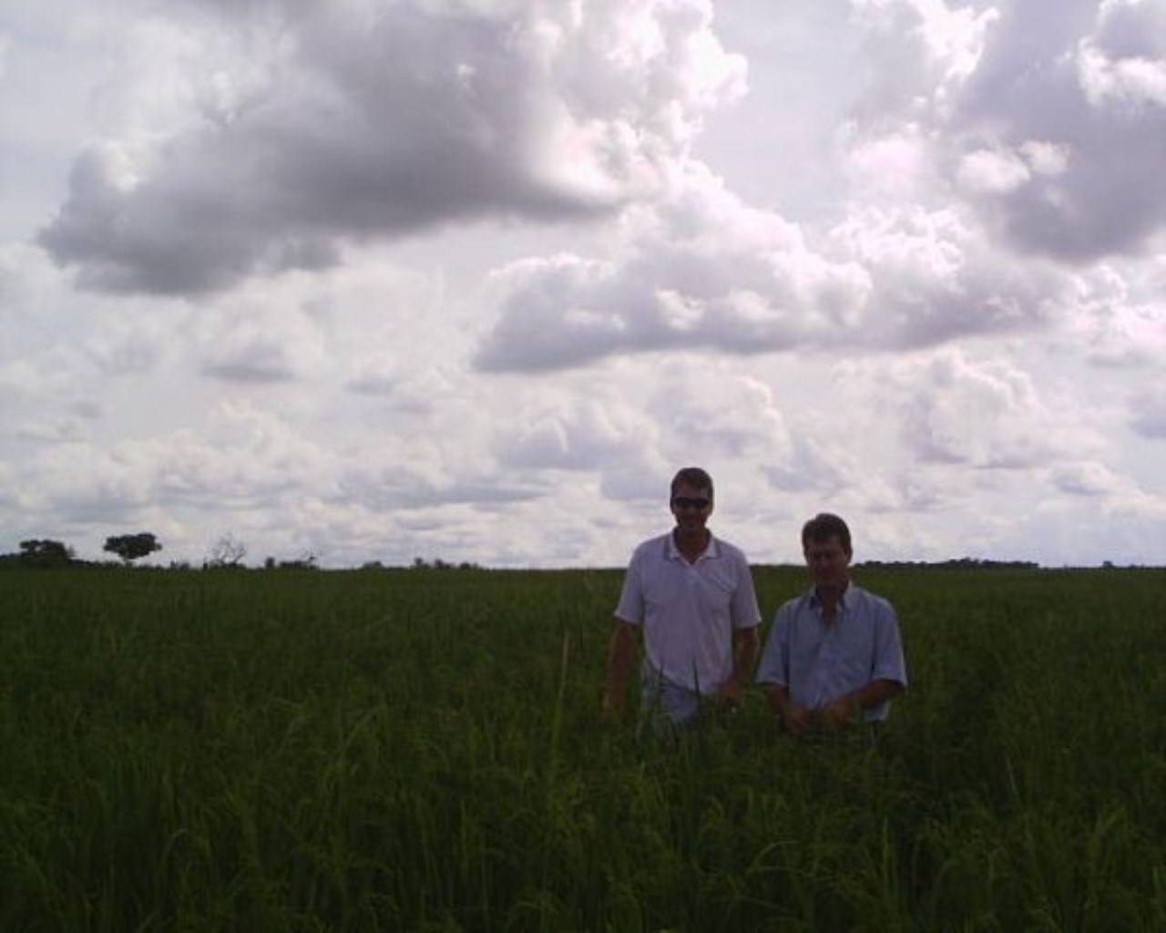 Fazenda à venda, 60000m² - Foto 9