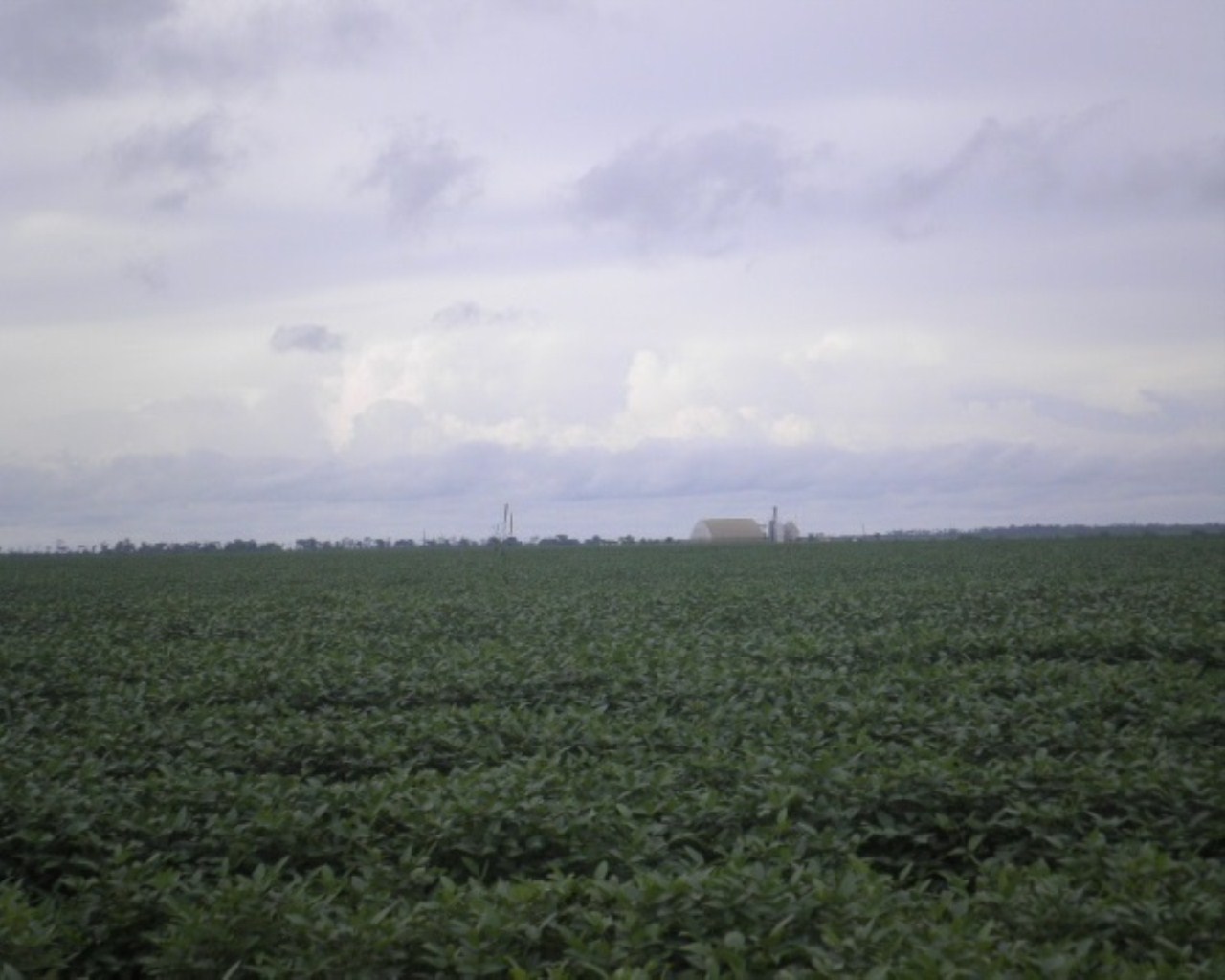 Fazenda à venda, 60000m² - Foto 17