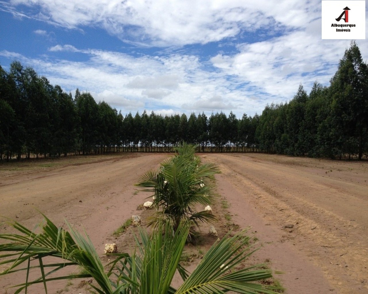 Fazenda à venda - Foto 1