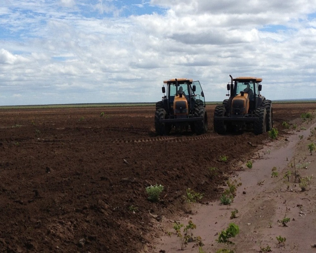 Fazenda à venda - Foto 10