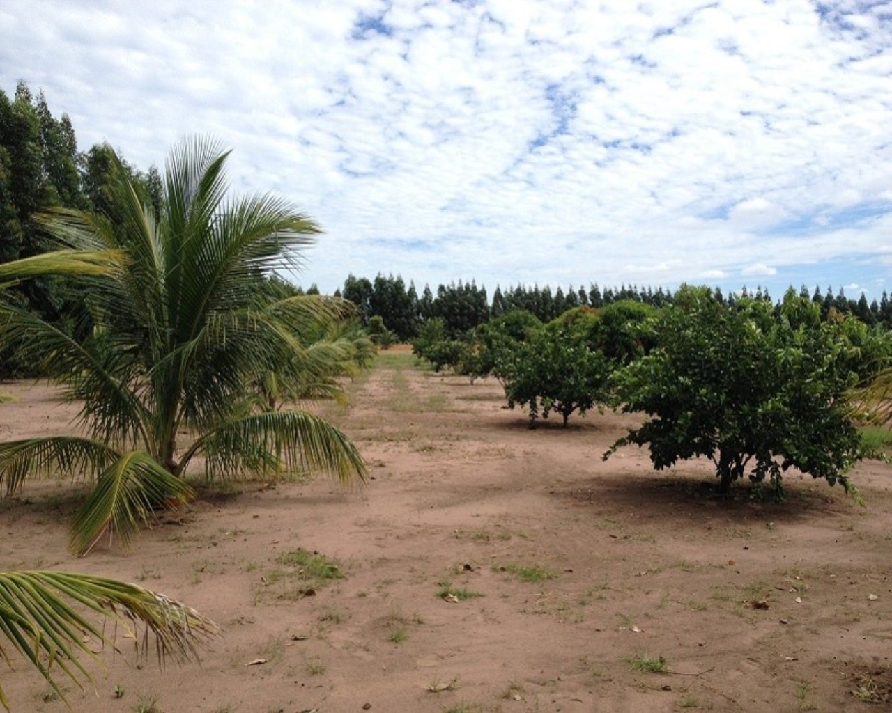 Fazenda à venda - Foto 11