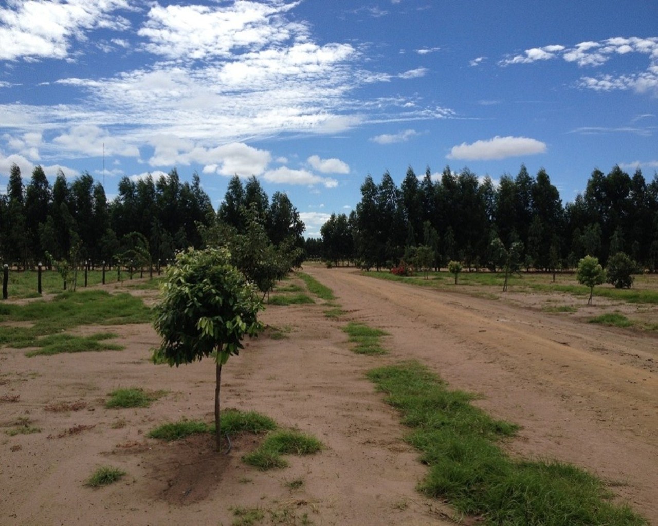 Fazenda à venda - Foto 12