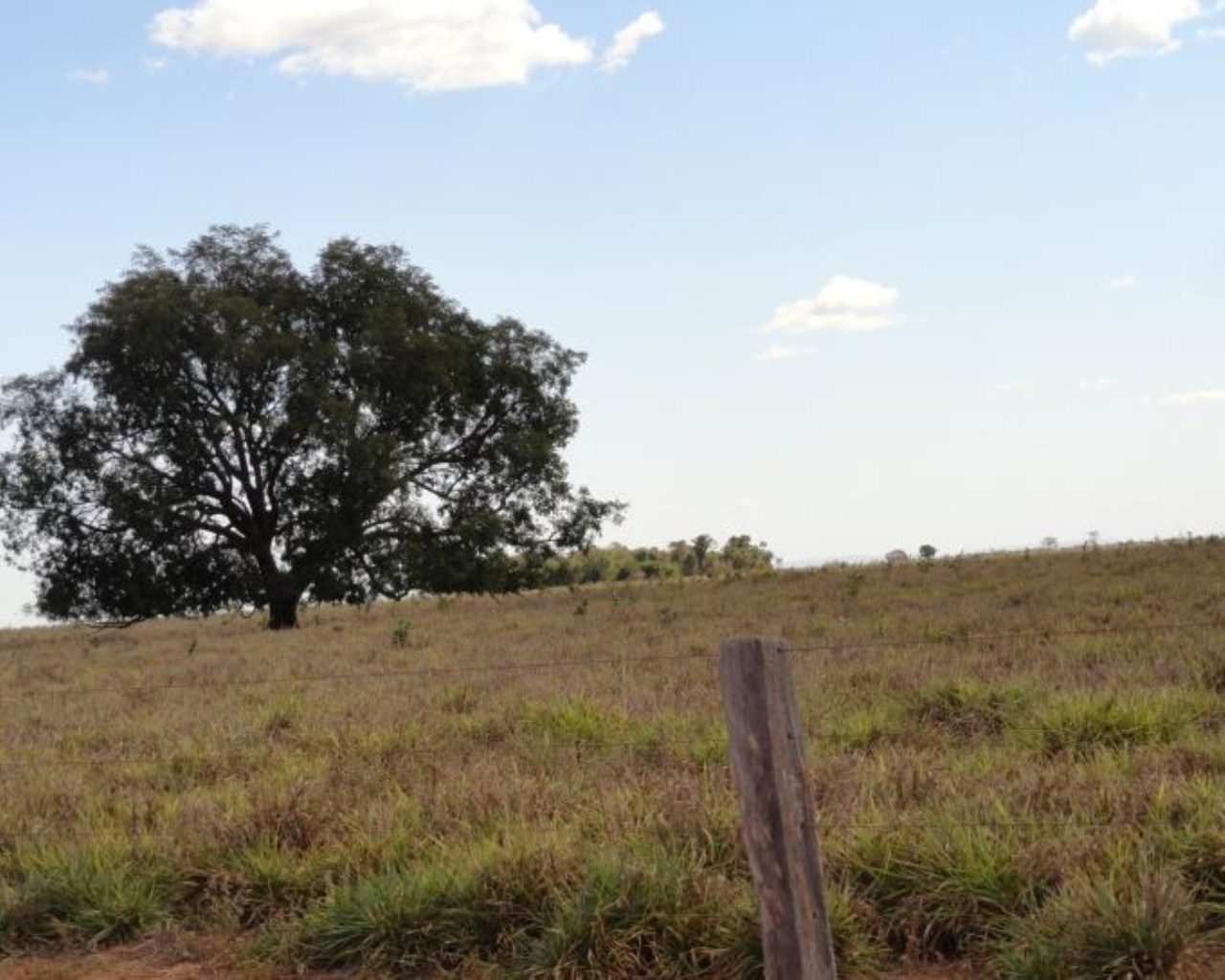 Fazenda à venda - Foto 7