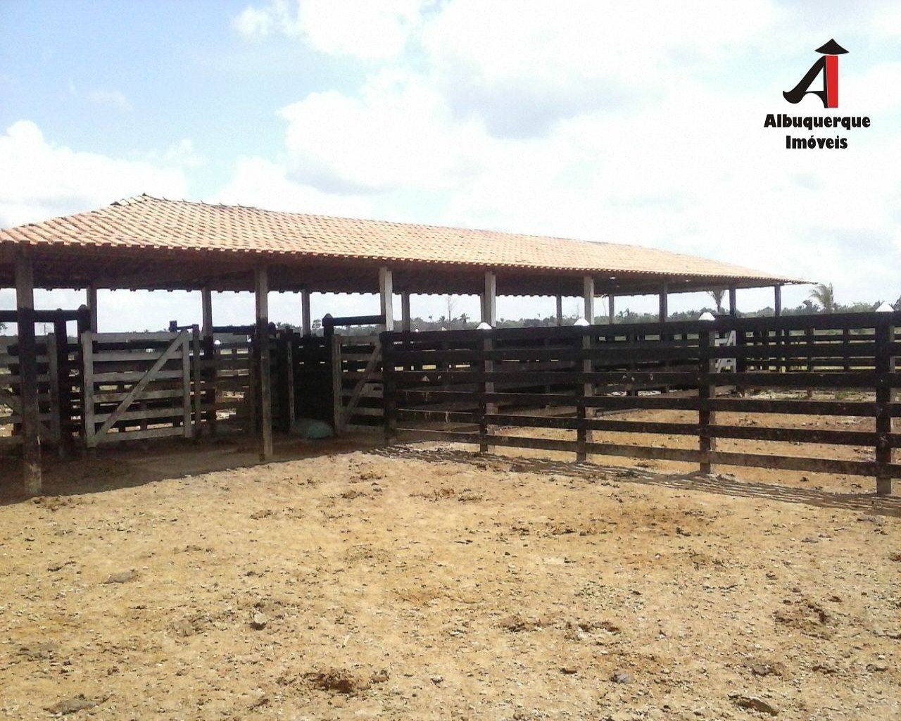 Fazenda à venda com 1 quarto, 5260m² - Foto 1