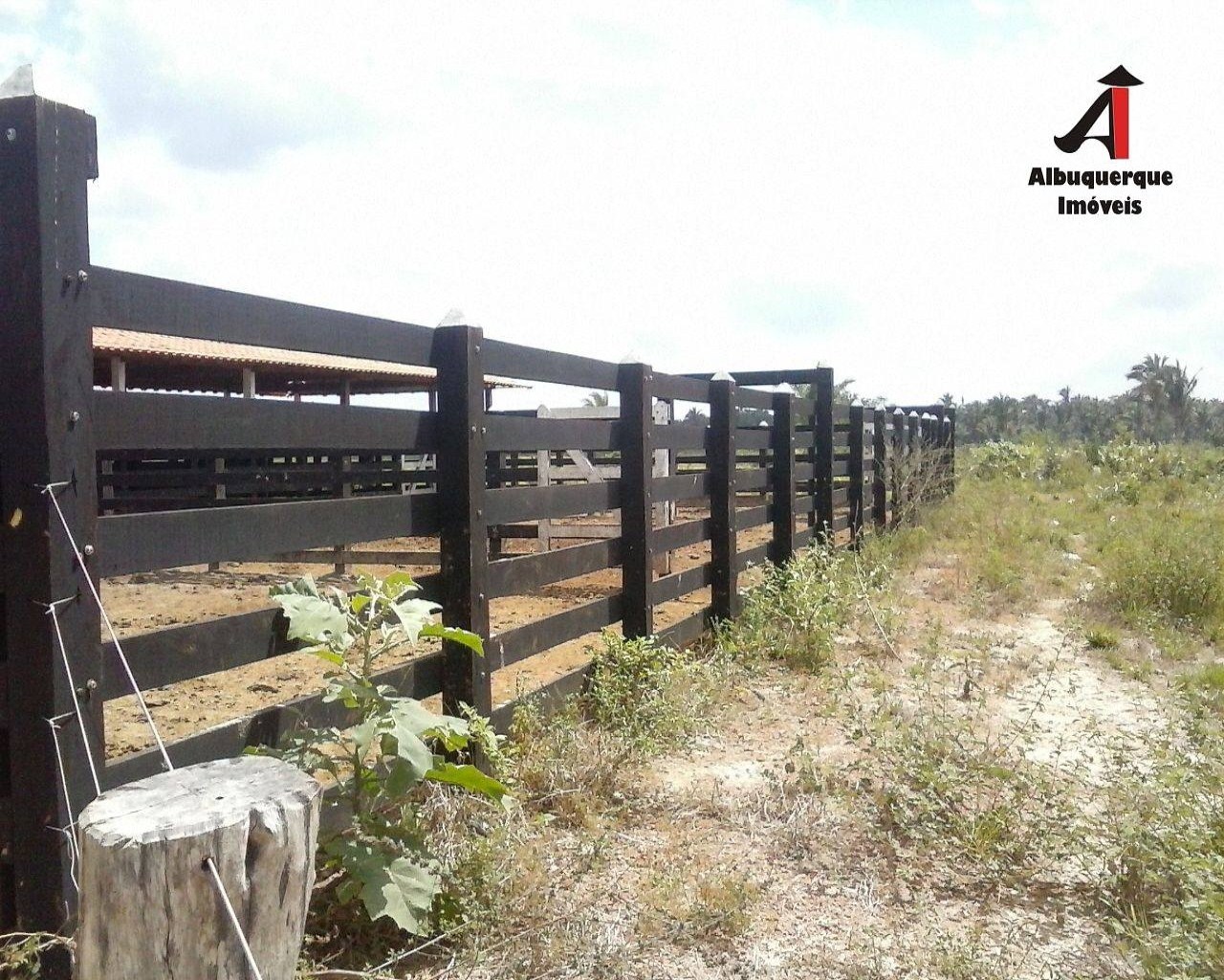 Fazenda à venda com 1 quarto, 5260m² - Foto 13