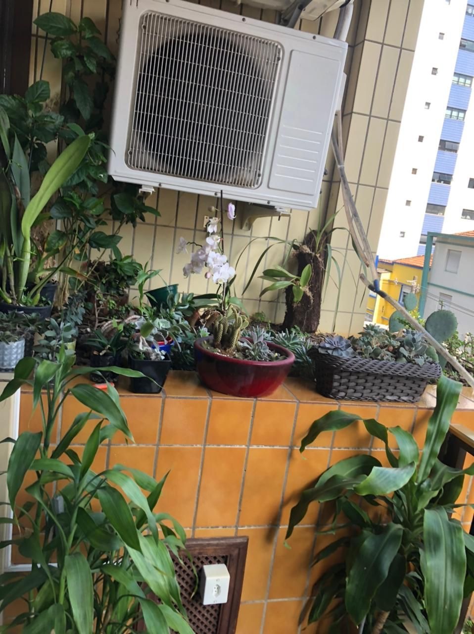 Apartamento à venda com 3 quartos, 155m² - Foto 4