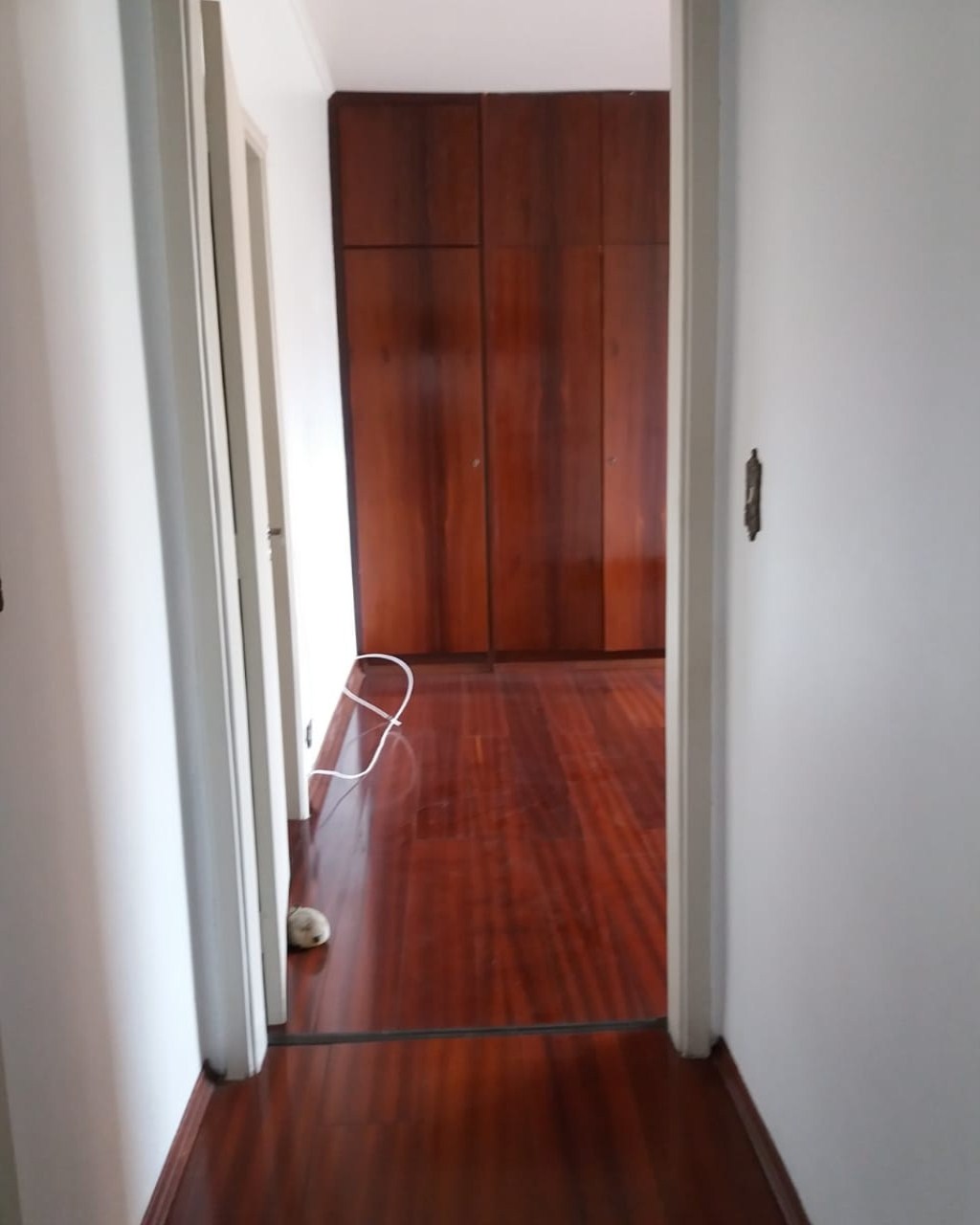 Apartamento à venda com 3 quartos, 165m² - Foto 30