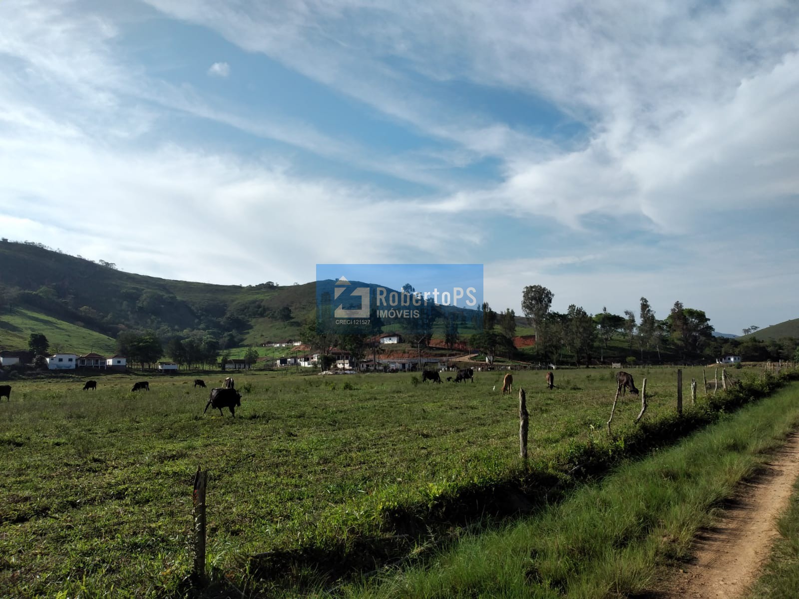 Fazenda em Cruzília a  7 km da rodovia  com 245 hectares   para pecuária  sendo  área de plantio 60 ha  e  faixa de 100 ha tratorável