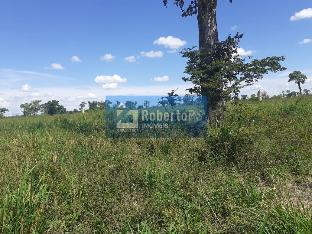 Fazenda/Sítios/Chácaras de 740m² no bairro centro, em Posse | Eu Corretor