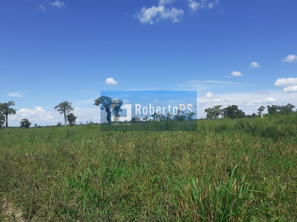 Fazenda/Sítios/Chácaras de 740m² no bairro centro, em Posse | Eu Corretor