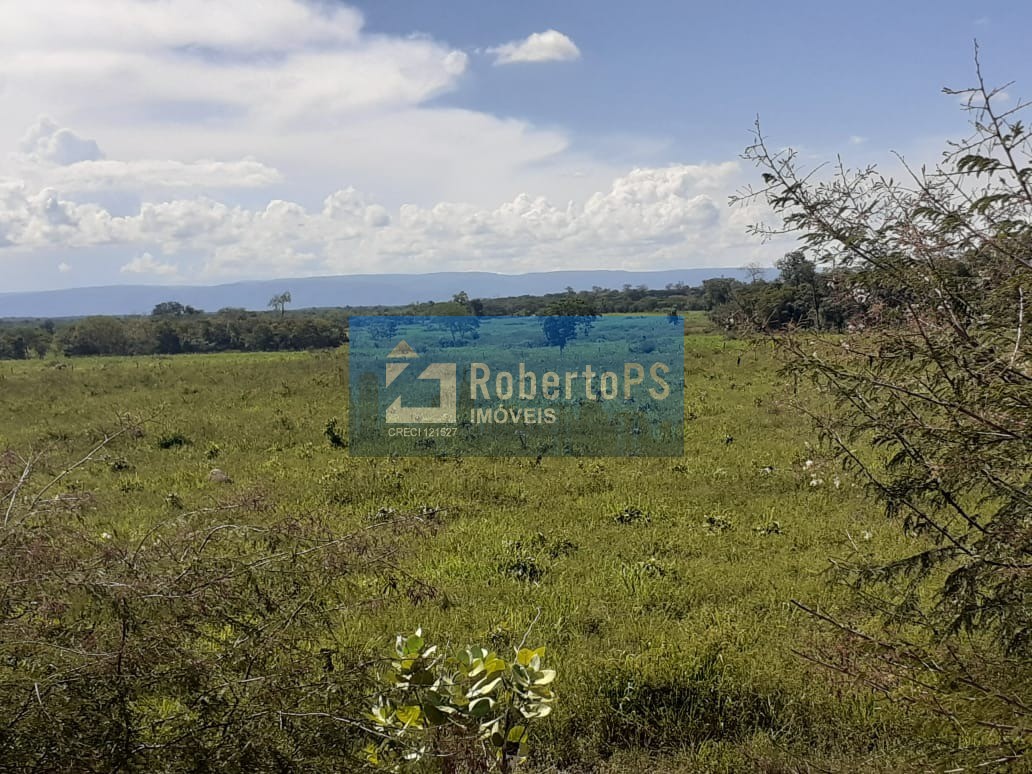 Fazenda/Sítios/Chácaras de 740m² no bairro centro, em Posse | Eu Corretor