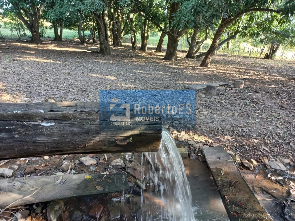 Fazenda/Sítios/Chácaras de 4 quartos, 350m² no bairro SETOR CENTRAL, em Goiânia | Eu Corretor