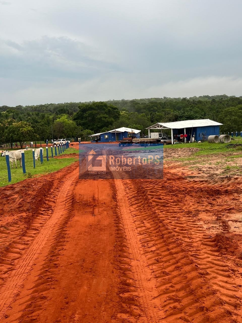 Você sonha em ter sua própria fazenda no coração do Mato Grosso? Então não perca essa oportunidade única!