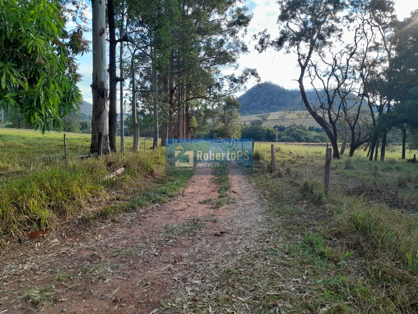 FAZENDA DE 57 HECTARES EM RIBEIRÃO BONITO/SP