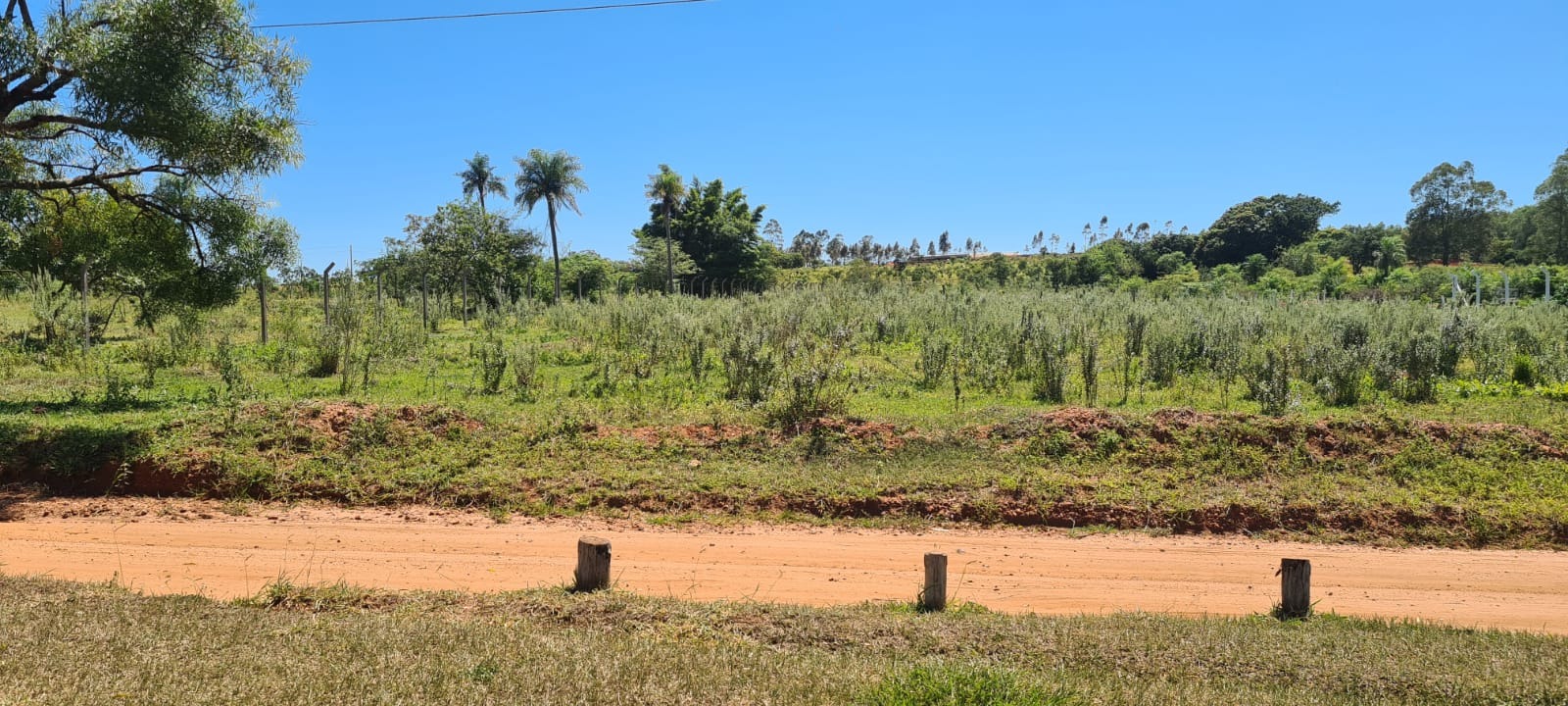 Loteamento e Condomínio à venda, 5000m² - Foto 4