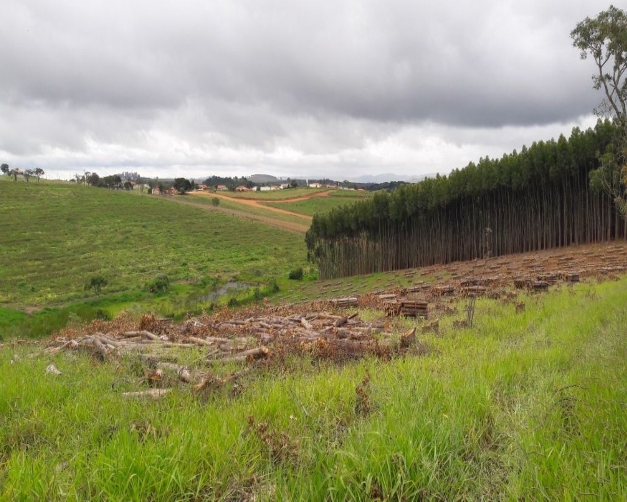 Terreno à venda, 86000m² - Foto 1