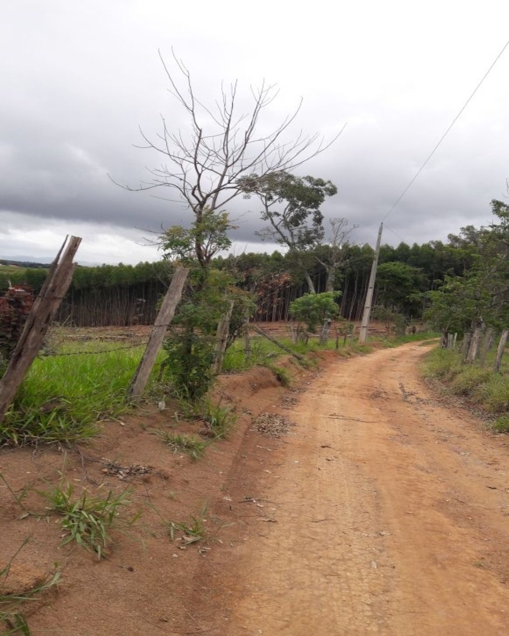 Terreno à venda, 86000m² - Foto 3