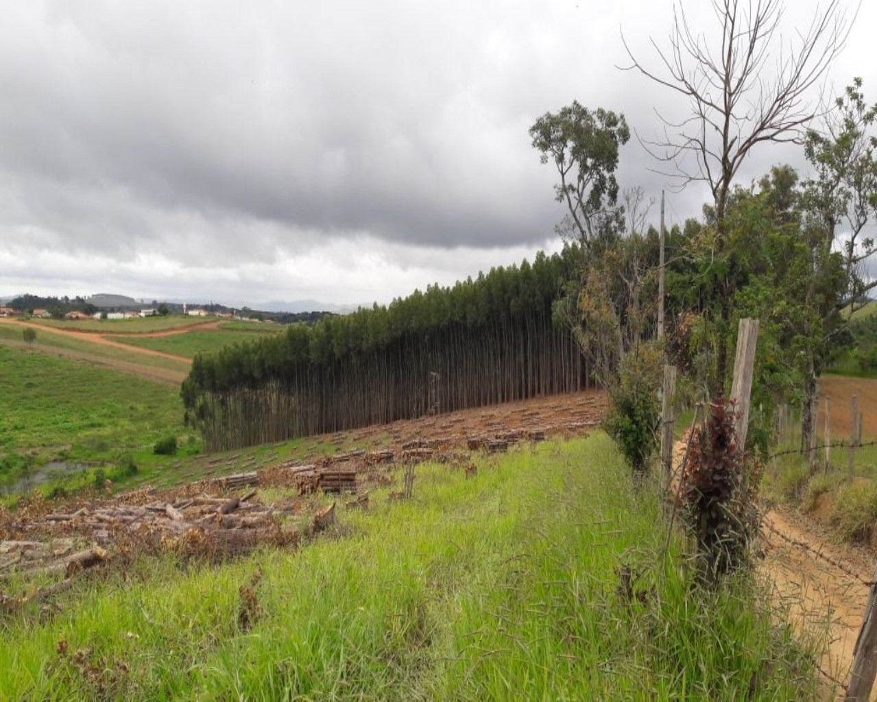 Terreno à venda, 86000m² - Foto 4