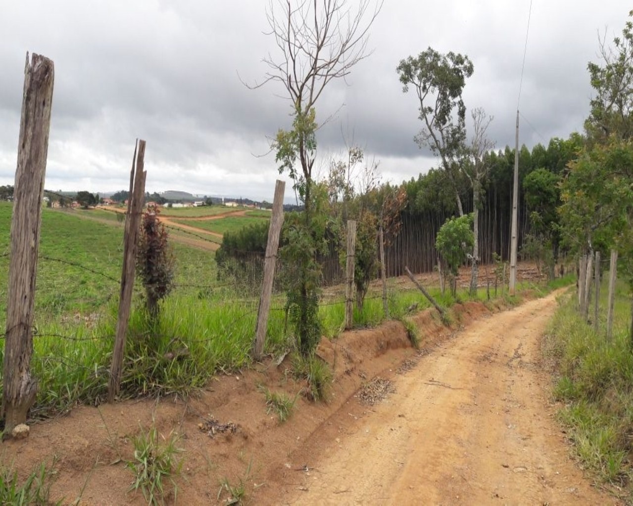 Terreno à venda, 86000m² - Foto 6