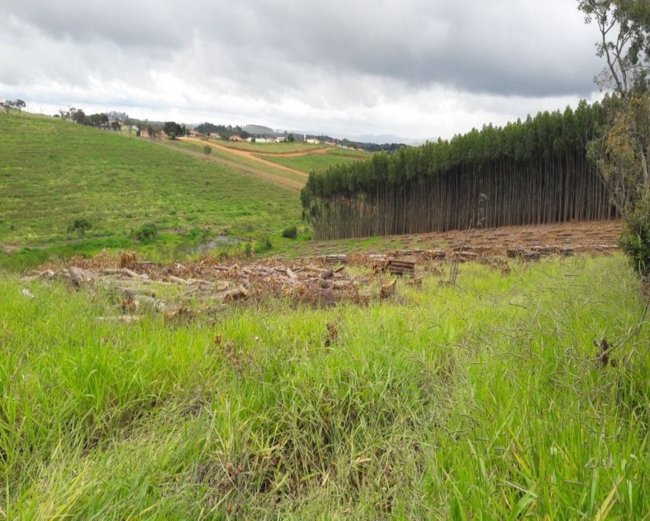 Terreno à venda, 86000m² - Foto 7