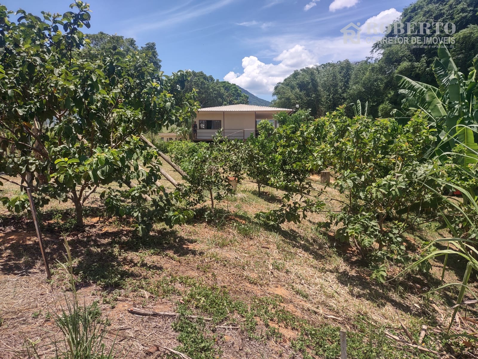 Chácara à venda com 1 quarto, 1800m² - Foto 20