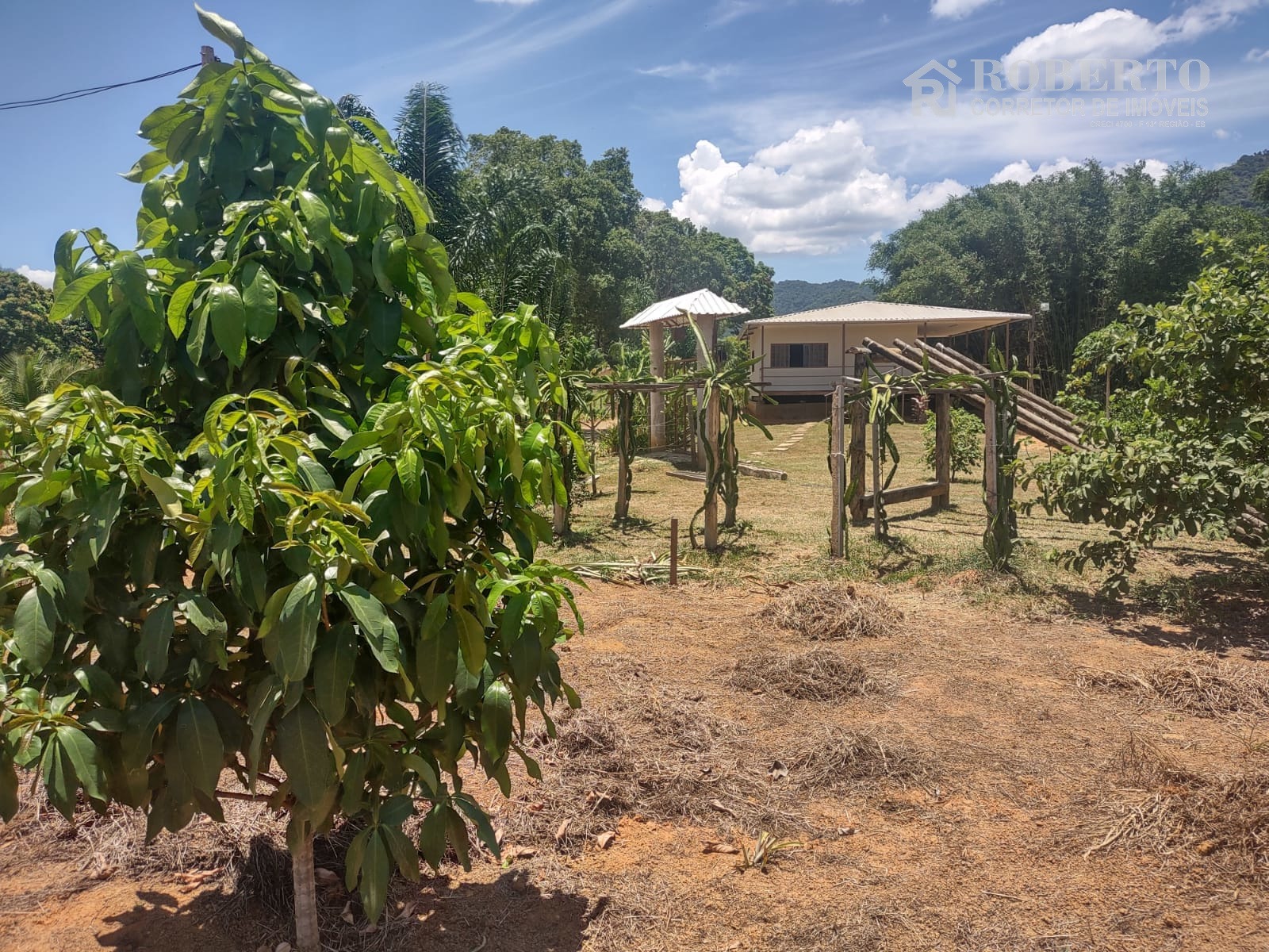 Chácara à venda com 1 quarto, 1800m² - Foto 4