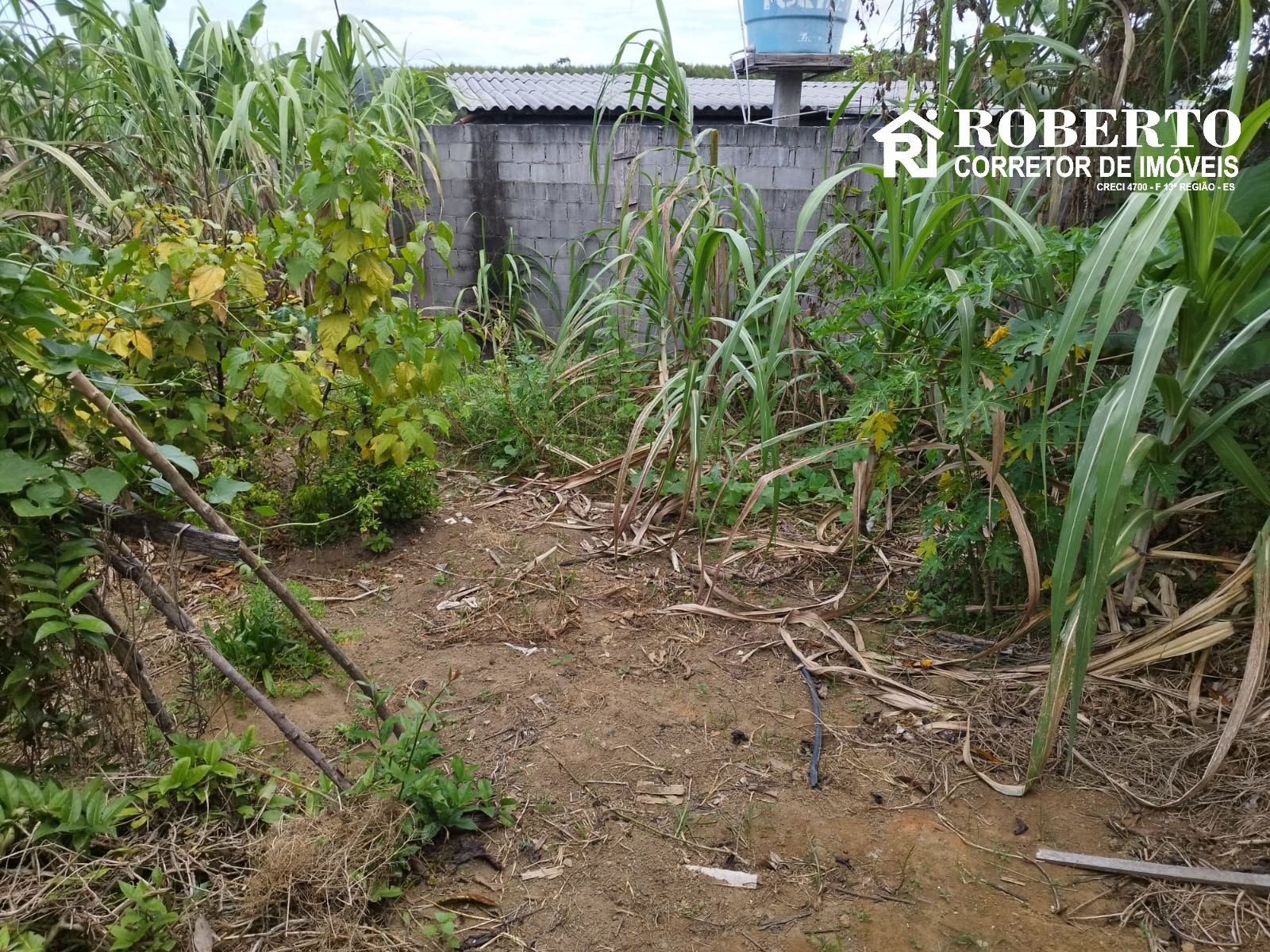 Terreno, 300 m² - Foto 4
