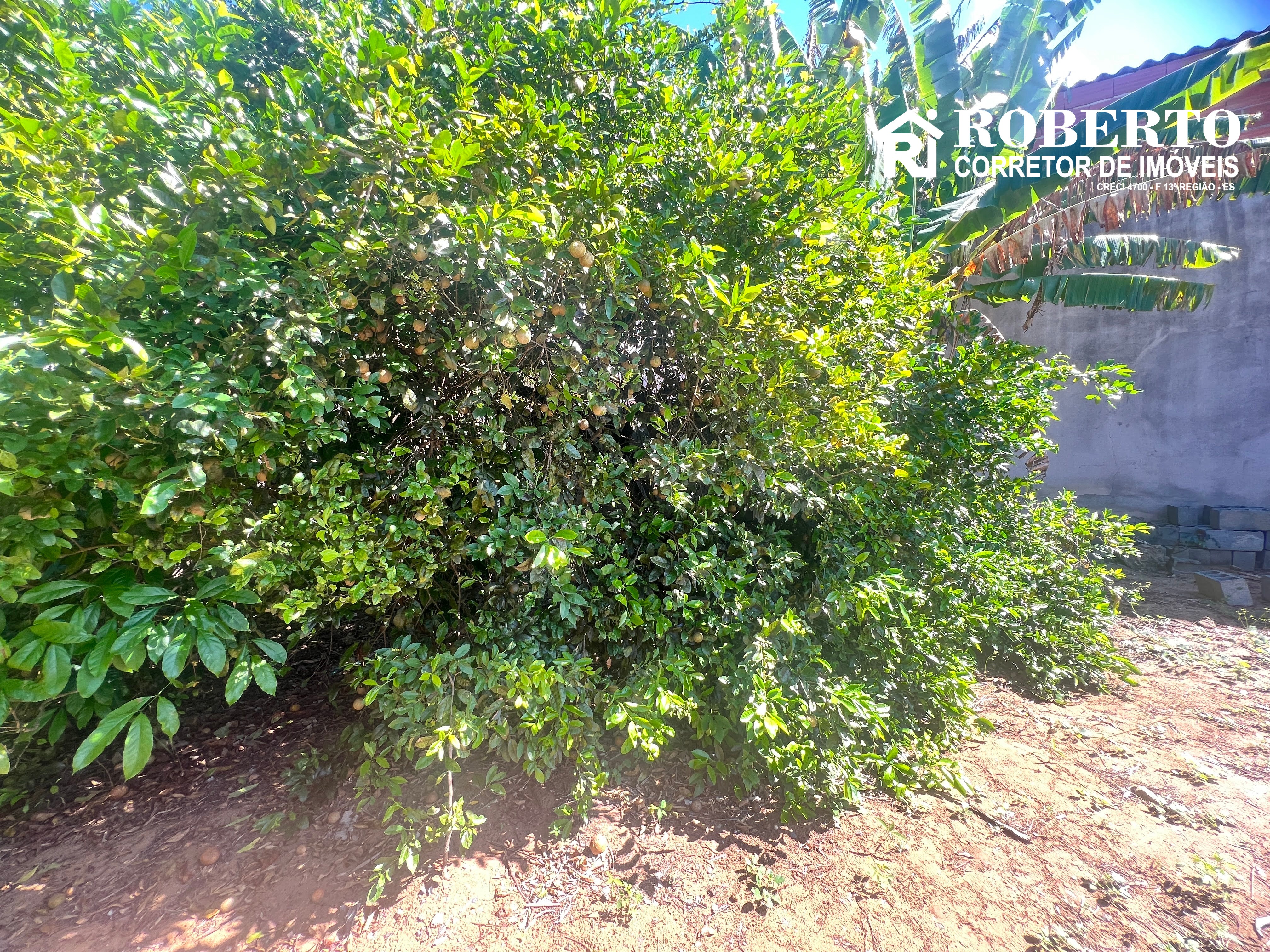 Terreno, 280 m² - Foto 6