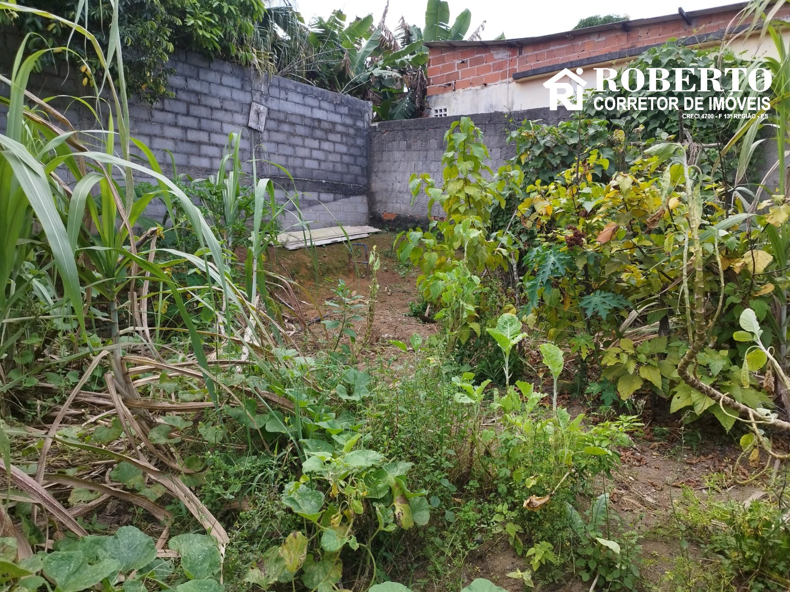 Terreno, 300 m² - Foto 3