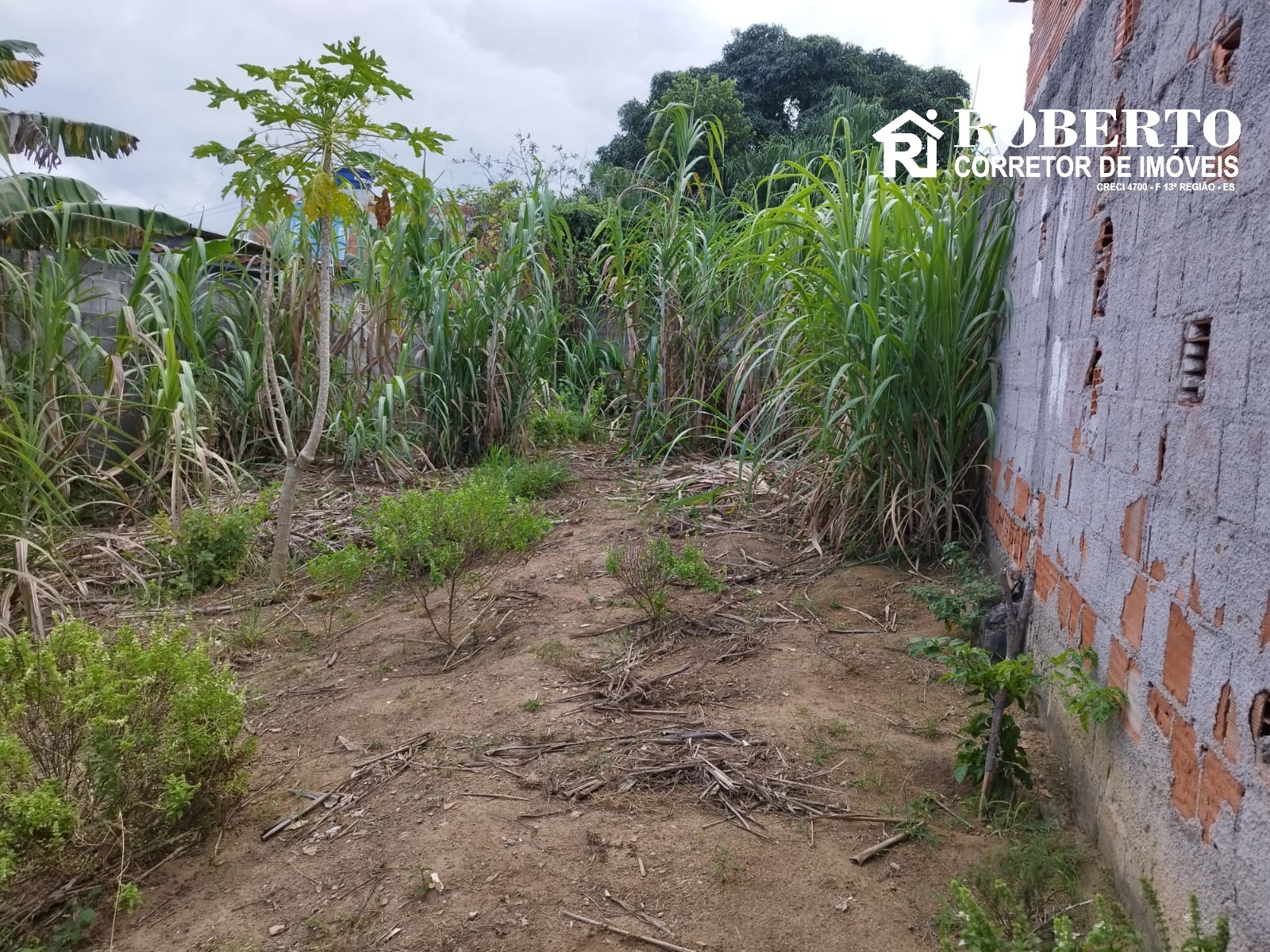 Terreno, 300 m² - Foto 1