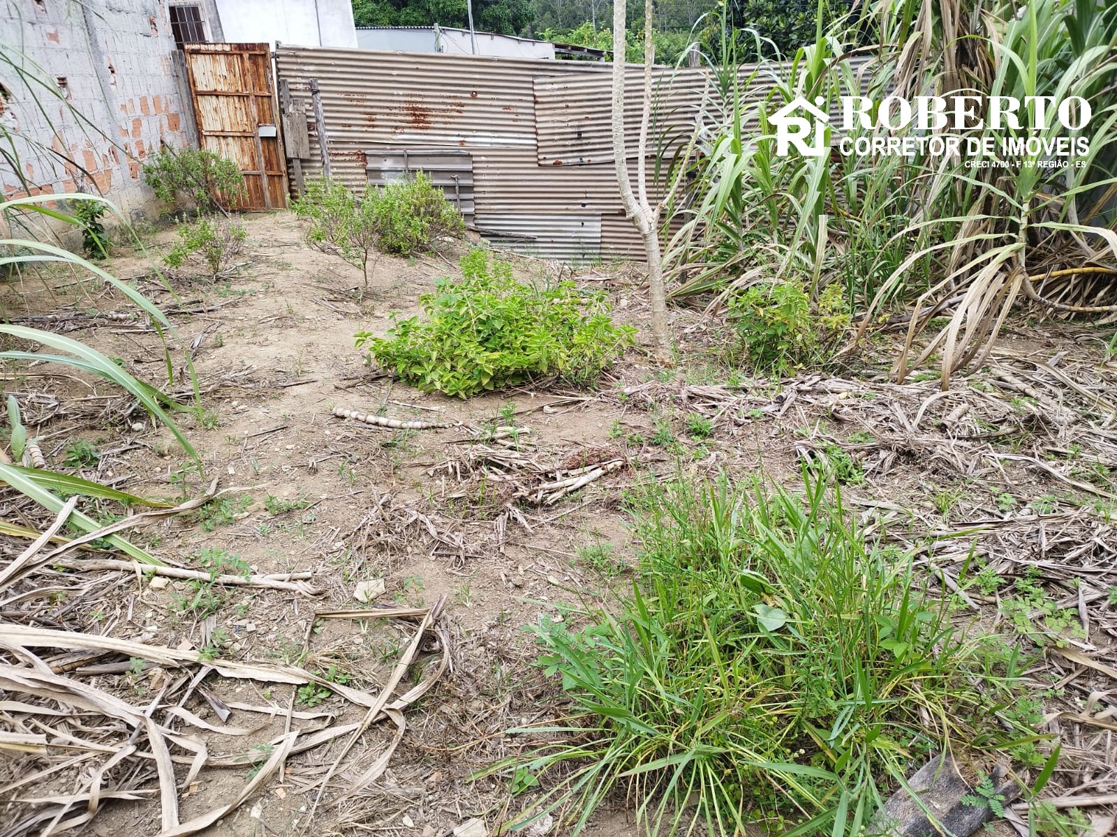 Terreno, 300 m² - Foto 2