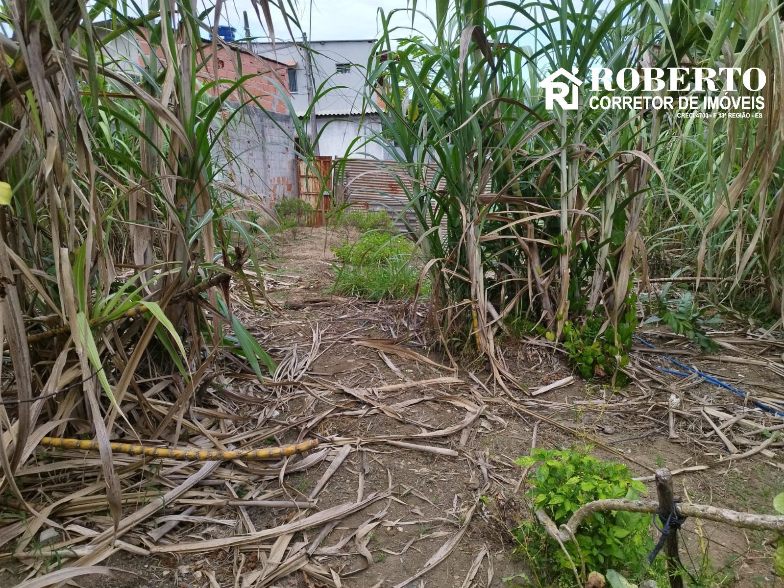 Terreno, 300 m² - Foto 5