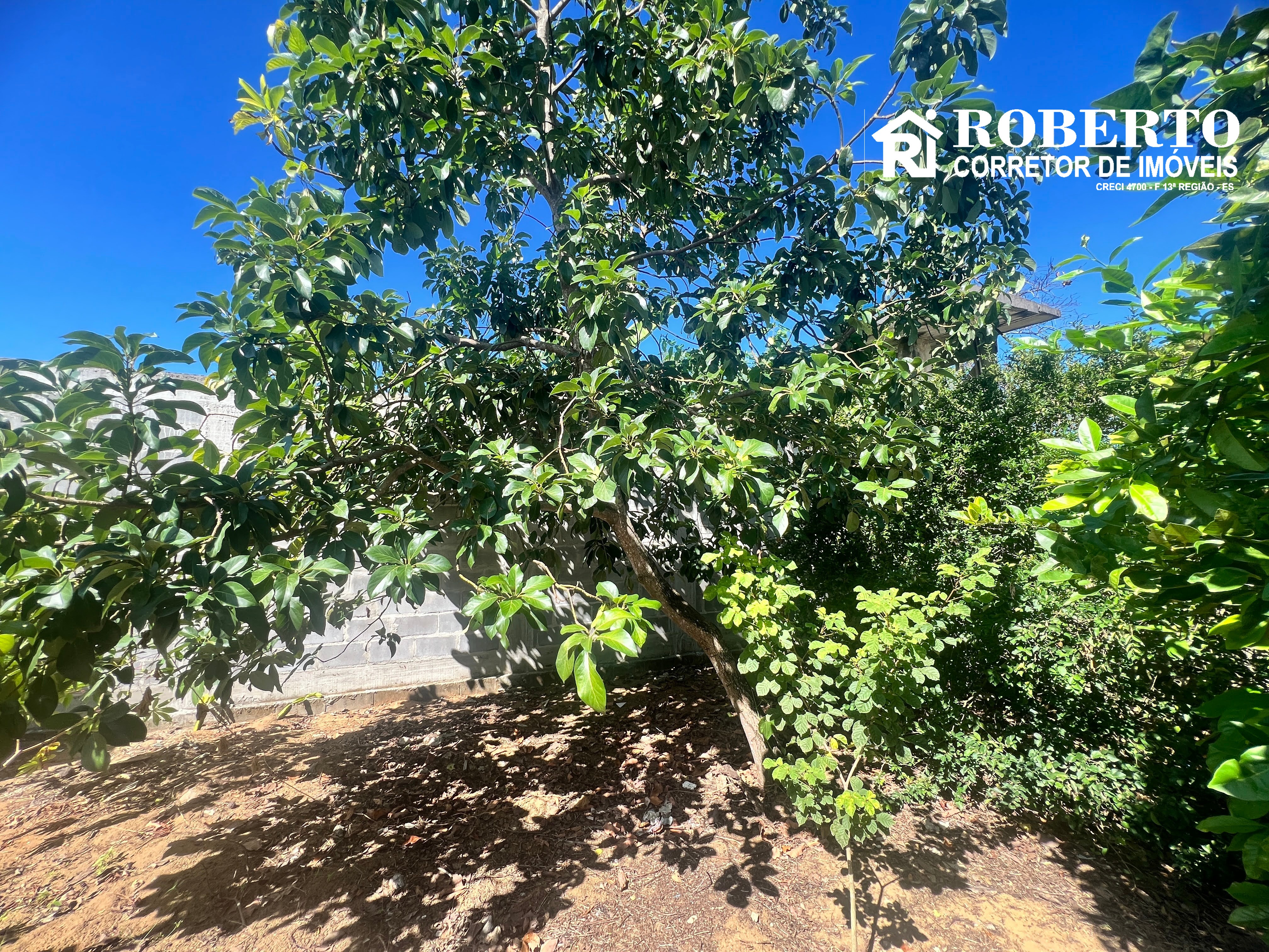 Terreno, 280 m² - Foto 5