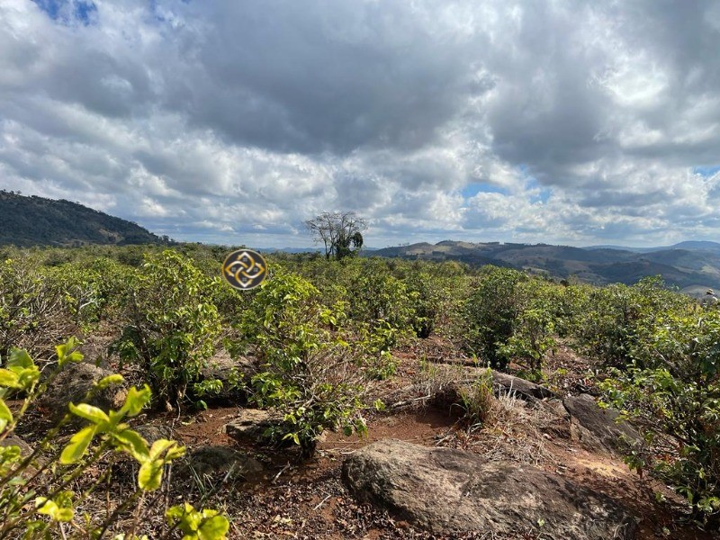 Sítio à venda, 24000m² - Foto 9