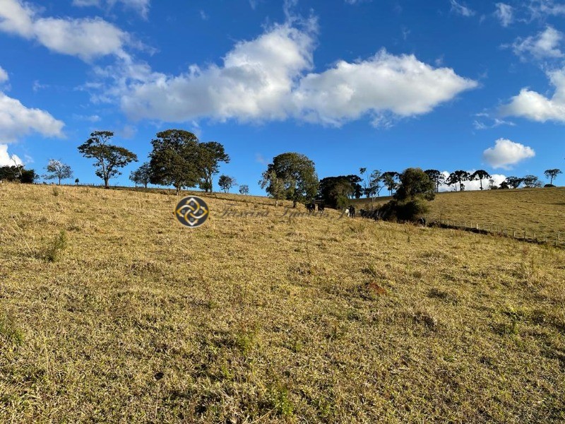 Sítio à venda, 40000m² - Foto 5