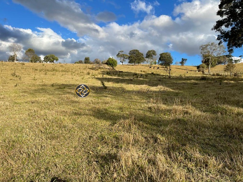 Sítio à venda, 40000m² - Foto 16