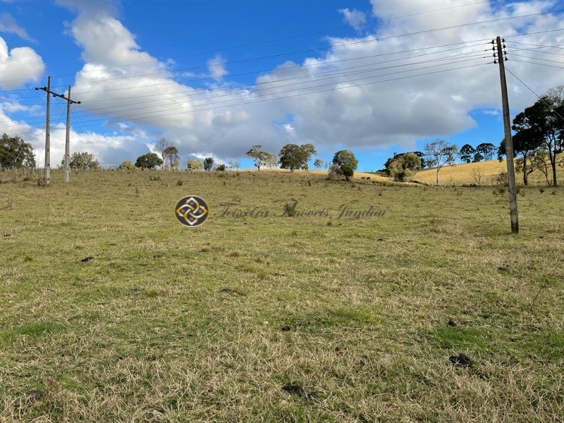 Sítio à venda, 40000m² - Foto 23