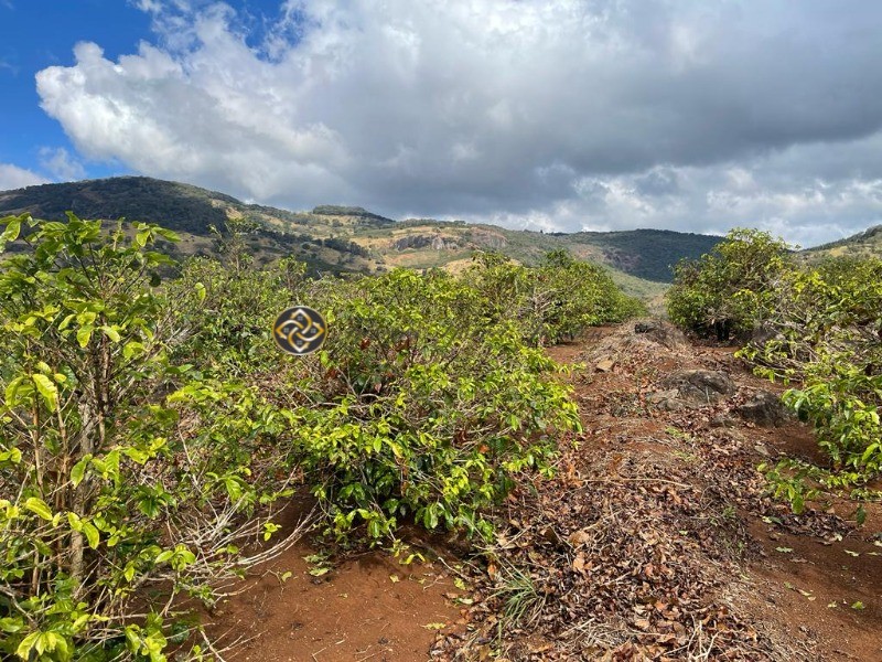 Sítio à venda, 24000m² - Foto 2