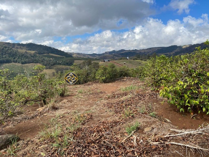 Sítio à venda, 24000m² - Foto 3