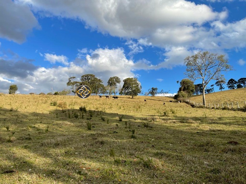 Sítio à venda, 40000m² - Foto 12