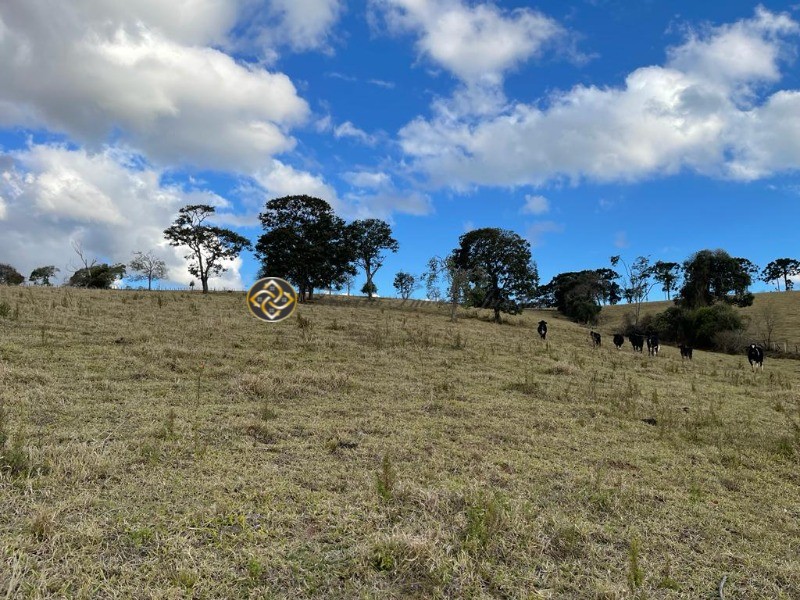 Sítio à venda, 40000m² - Foto 8