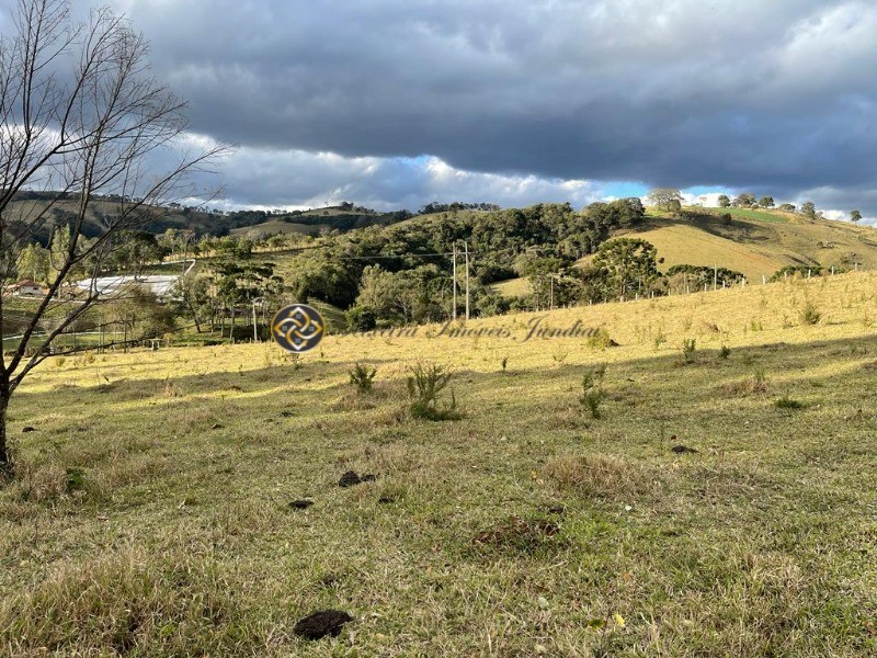 Sítio à venda, 40000m² - Foto 15